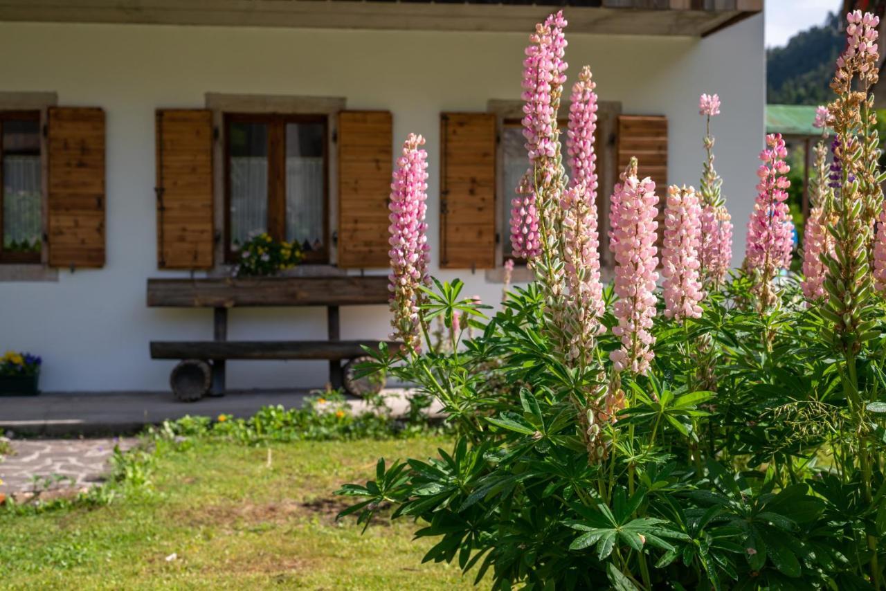 La Gerla Casa Vacanze Dolomiti Hotel Perarolo di Cadore Buitenkant foto