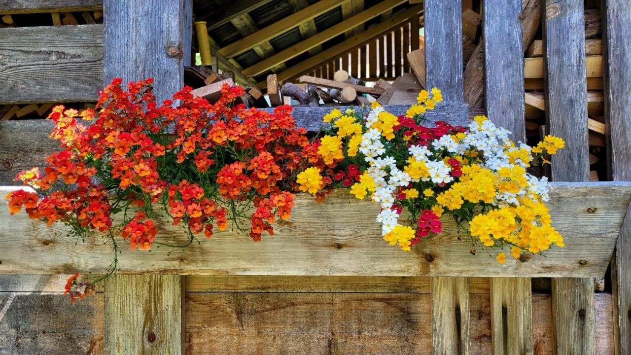 La Gerla Casa Vacanze Dolomiti Hotel Perarolo di Cadore Buitenkant foto